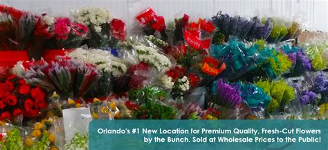 Exceptional holiday gifts · gifts for every budget Wholesale Flowers Orlando