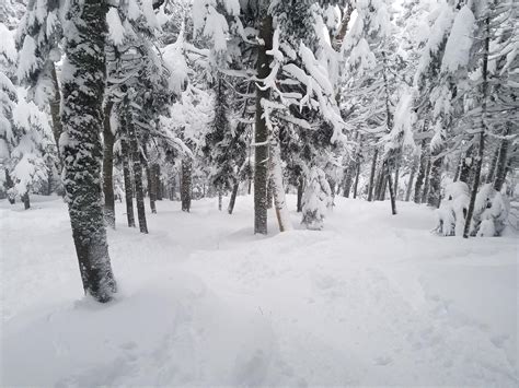Killington Today Waist Deep In The Woods And Theres Still More Snow