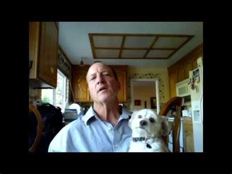 This medicine works by restricting the action of a natural chemical. A guide to giving Benadryl to dogs. Includes the ...