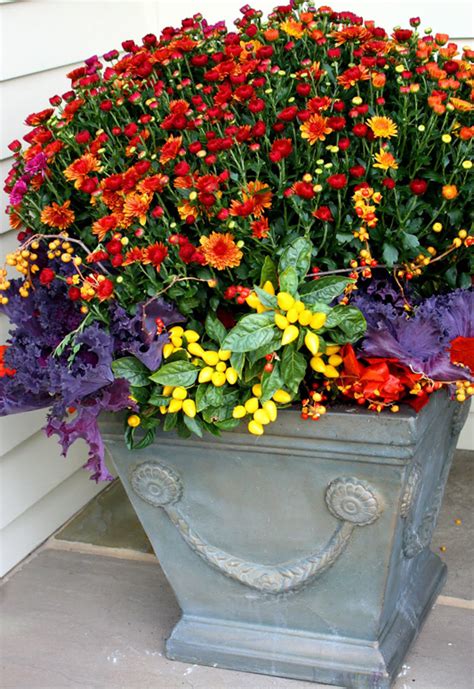 20 Blow Minding Fall Container Backyard Ideas The Art In