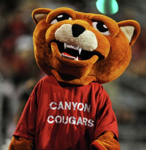 San Antonio Area High School Mascots Houston Chronicle