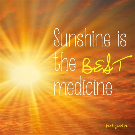 Pin By Fresh Produce On Fresh Inspiration Sunshine Quotes Medicine