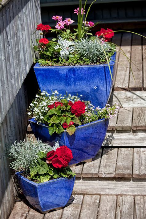 Make a flower pot from dragon fruit seeds. 64 Outdoor Steps with Flower Planters and Pots Ideas ...