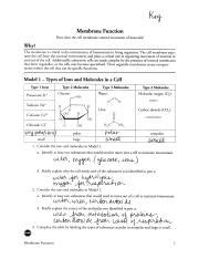 Neuron function pogil answer key free pdf ebook download: Bestseller: Pogil Activities For Ap Biology Answers Membrane Function