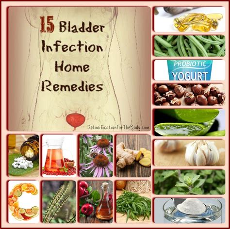 treat your bladder by natural healers just in case haba