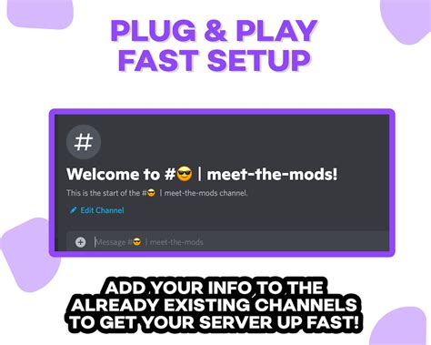 Twitch Streamer Discord Server Template Instant Download Organized
