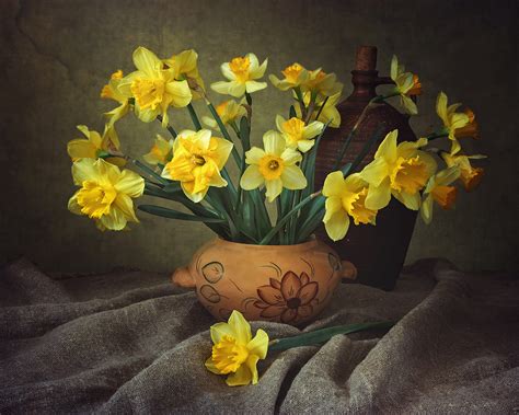 Spring Still Life With Daffodils By Daykiney On Deviantart