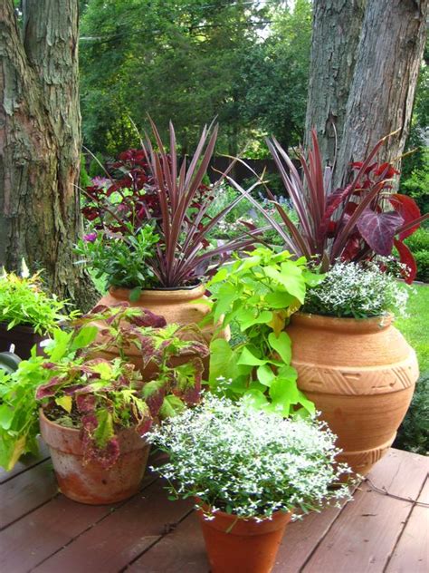 Ideas And Tips For Container Planters Whitehouse Landscaping