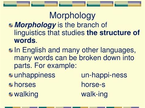 Morphology Morphology Is The Branch Of Linguistics That Studies The