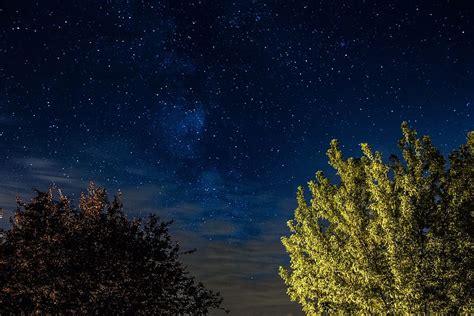 Free Download Hd Wallpaper A Trees Under The Starry Sky Nature