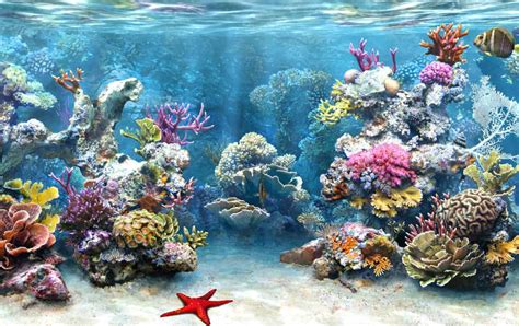 A biome is a large geographical region where certain types of plants and animals thrive. Characteristics of Ocean Biome and the explanation