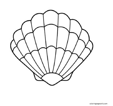 Pintable Free Clam Shell Coloring Page Free Printable Coloring Pages