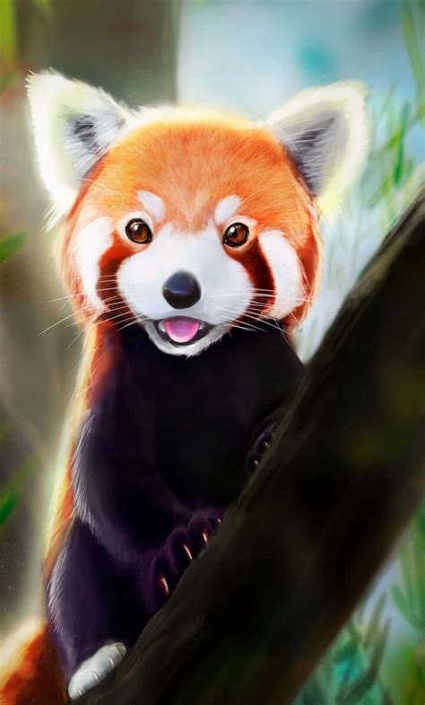Download Cute Red Panda Pictures 1280 X 2120