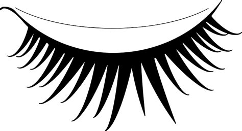 Eyelash Black And White Clipart Free Download Transparent Png