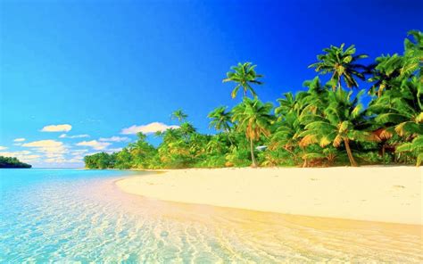 Tropical Paradise Hdwallpaperup Tropical Beach Paradise X Download Hd Wallpaper