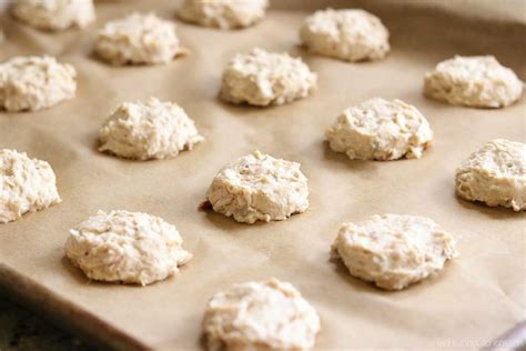 4-Ingredient Chicken and Biscuits Homemade Dog Treats – Two Healthy