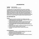 Technical Project Manager Job Description Pdf
