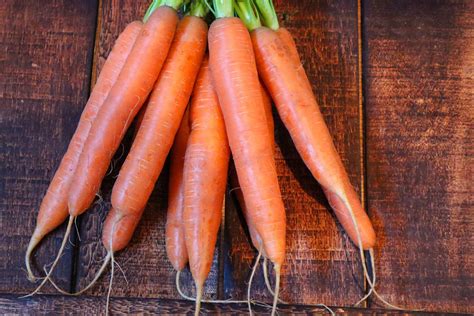 The Different Types Of Carrots Explained For Home Gardeners Sow True