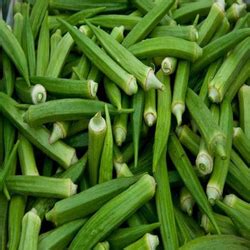 Okra vs lady finger okra and lady finger are just two names for the same plant with the scientific name of abelmoschus esculentus or hibiscus esculantus. Lady Finger in Madurai - Latest Price & Mandi Rates from Dealers in Madurai