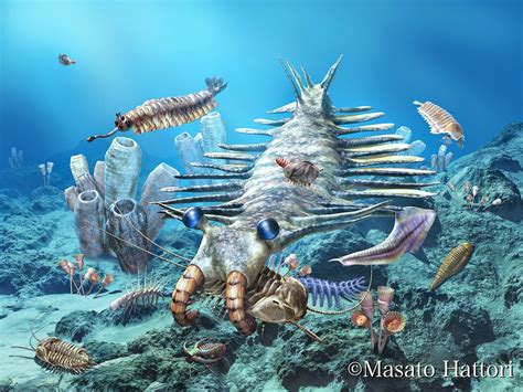 Image Result For Cambrian Explosion Доисторический