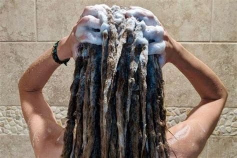 How Often Should You Wash Your Dreads Dreadlocks Club