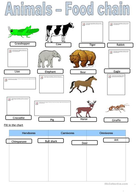 Free Food Chain Worksheets For First Grade Food Ideas