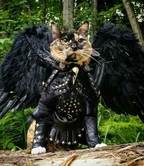 Pin By Carris Watson On Metal As Cat Cosplay Cat Armor Pet Costumes