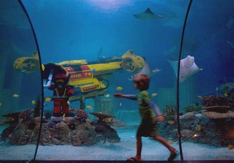 Legoland To Reopen Its Aquarium This Saturday But The Theme Park Will