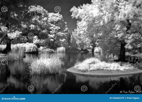 Calm And Quiet Stock Photo Image Of Quiet Pond Monochrome 236682370