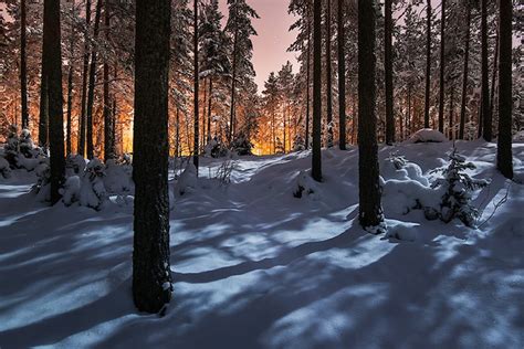 Mysterious Glowing Light In A Finland Forest