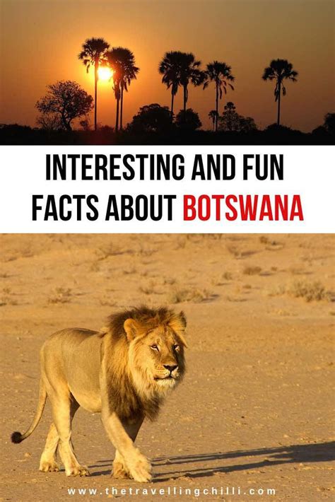 25 Interesting Facts About Botswana The Travelling Chilli Botswana Travel South Africa