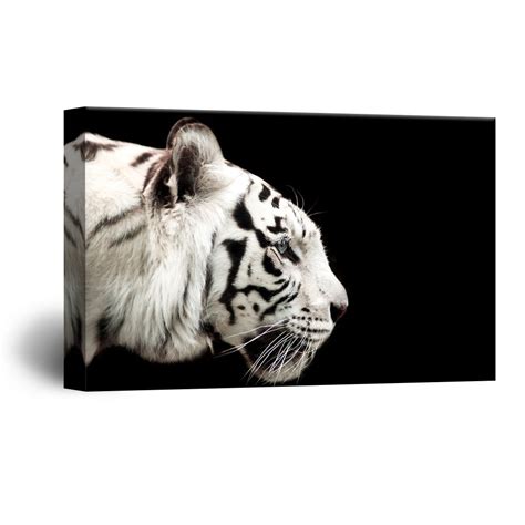 Wall26 Canvas Wall Art A White Tiger On Black Background Giclee Print