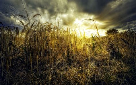 1119452 Sunlight Landscape Forest Sunset Night Nature Reflection