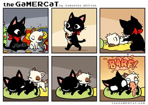 Aww The Gamercat Know Your Meme