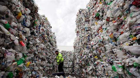 Record Number Of Plastic Bottles Being Recycled In Britain Uk News