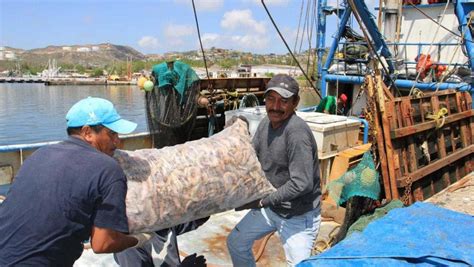 Iniciará Temporada De Pesca Del Camarón En El Istmo Oaxaca Idp Noticias