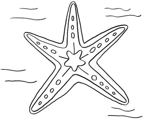 Starfish or sea stars have vibrant colored bodies which make them a favorite coloring page subject for kids. כוכב ים דפי צביעה - המבחר הגדול ביותר של דפי צביעה להדפסה ...