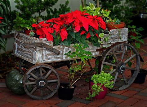 14 Rustic Garden Wagon Ideas For A Country Garden Garden Lovers Club