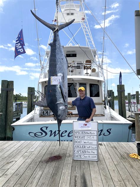 61st Annual Big Rock Blue Marlin Tournament Photos Reel Time Apps