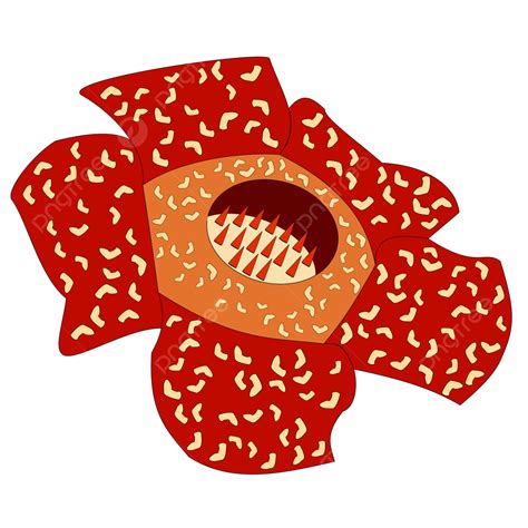 美麗的 Rafflesia Arnoldii 印度尼西亞大花 大王花 花 美丽的向量圖案素材免費下載，png，eps和ai素材下載