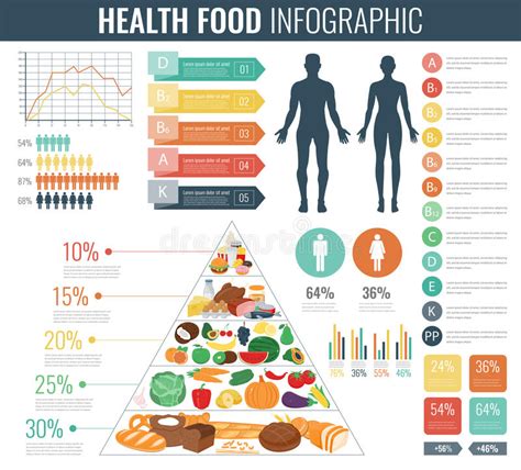 Health Food Infographic Food Pyramid Healthy Eating Concept Vector