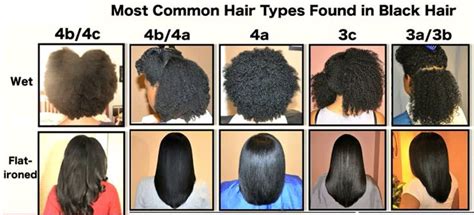 Dos And Donts For Protective Styling African American 4b