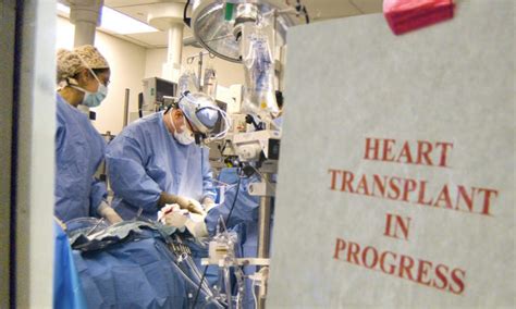 Organ Transplant Programs Continue Despite Pandemic Newscenter