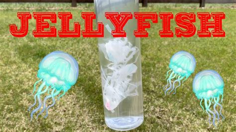 Make A Realistic Jellyfish Sensory Bottle Hands On Learning Activity