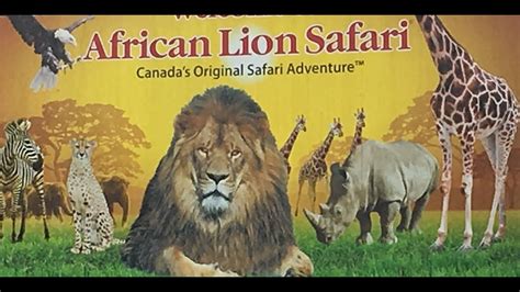 African Lion Safari Youtube