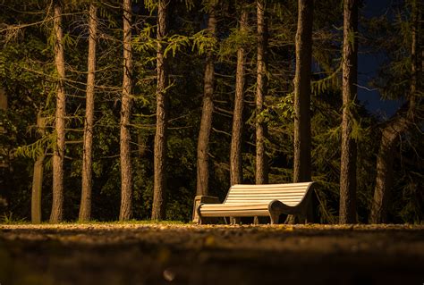 Free Photo Brown Wooden Slatted Bench Near Brown Tree Trunk Bench