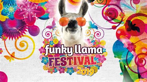 Funky Llama Festival Plymouth Hoe June Yourway