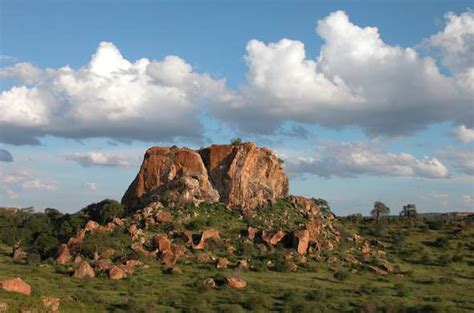 Top 5 Limpopo Attractions Venda Bender Mapungubwe White Lions