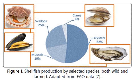 Supply Chain Of The Molluscan Shellfish Overview Of Key Food Safety