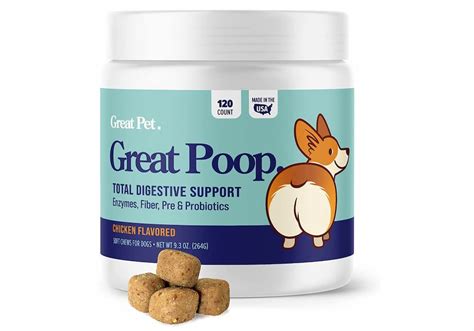 Yellow Dog Poop What It Means Great Pet Care